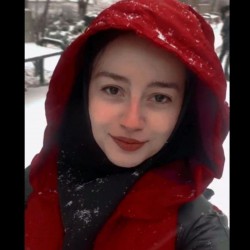  شقایق دهقان زاده 