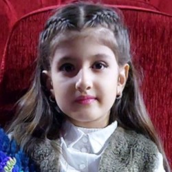  ملودی حمدگذار 